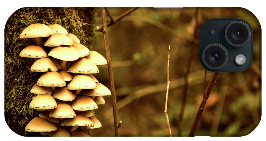 Mushrooms iPhone Case featuring the photograph Cluster o Shrooms by Monte Arnold