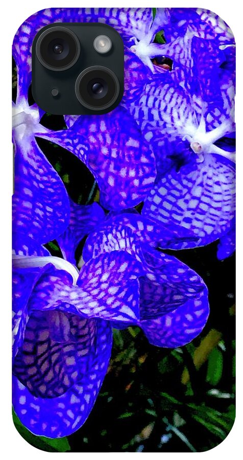 #flowersofaloha #orchids #cluster #vandas #blue iPhone Case featuring the photograph Cluster of Electric Blue Vanda Orchids by Joalene Young