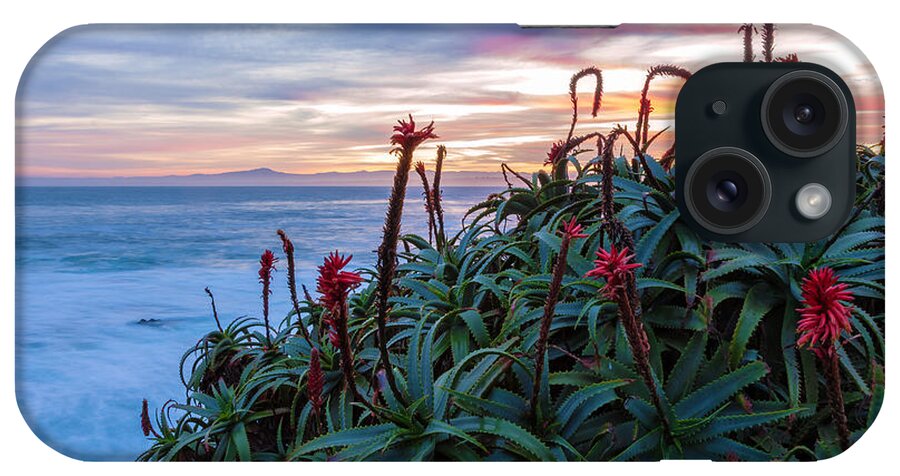 Landscape iPhone Case featuring the photograph Coastal Aloes by Jonathan Nguyen