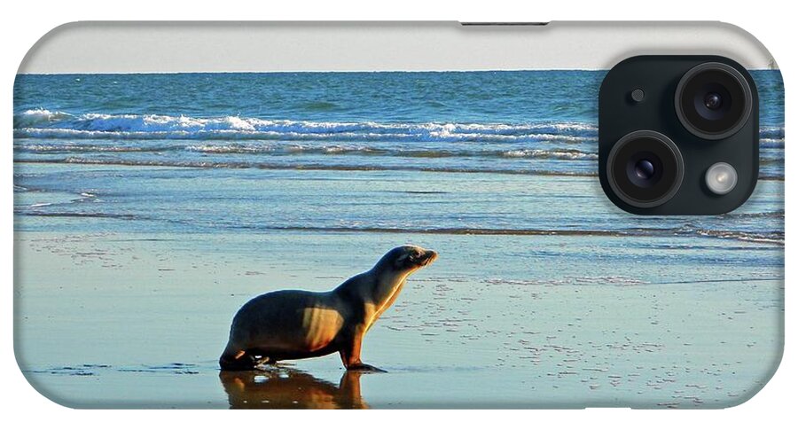 Sea iPhone Case featuring the photograph Coastal Friends by Everette McMahan jr