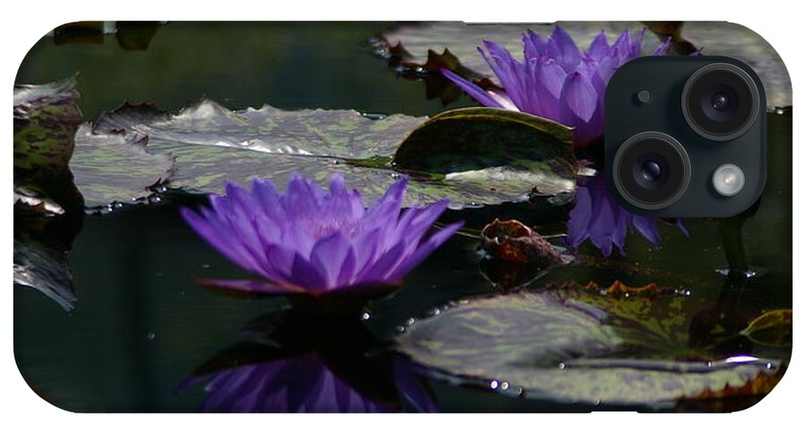 Cobalt iPhone Case featuring the photograph Cobalt Purple Lotus Waterlilies by Jackie Irwin
