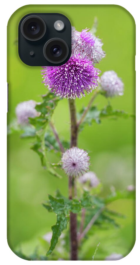 Flower. Cobweb Thistle iPhone Case featuring the digital art Cobweb Thistle by Michael Lee