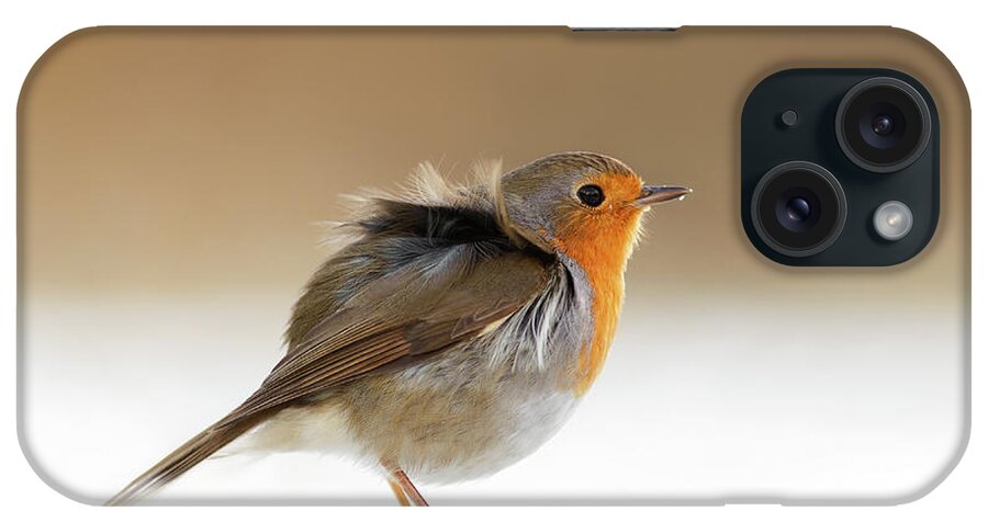 European Robin iPhone Case featuring the photograph Cold Feet II - Little Red Robin in the Snow by Roeselien Raimond