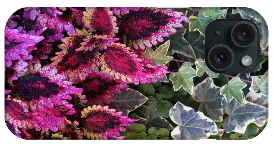 Coleus iPhone Case featuring the mixed media Coleus and Ivy- Photo by Linda Woods by Linda Woods