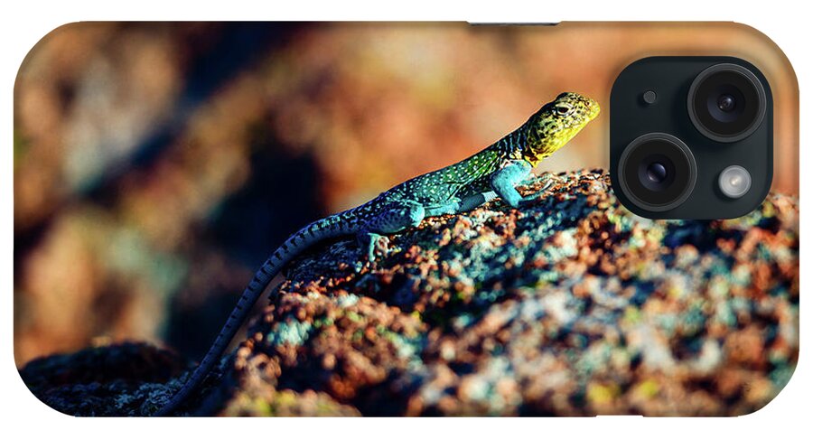 The Collared Lizard Is The Oklahoma State Reptile. iPhone Case featuring the photograph Collared Lizard by Tamyra Ayles