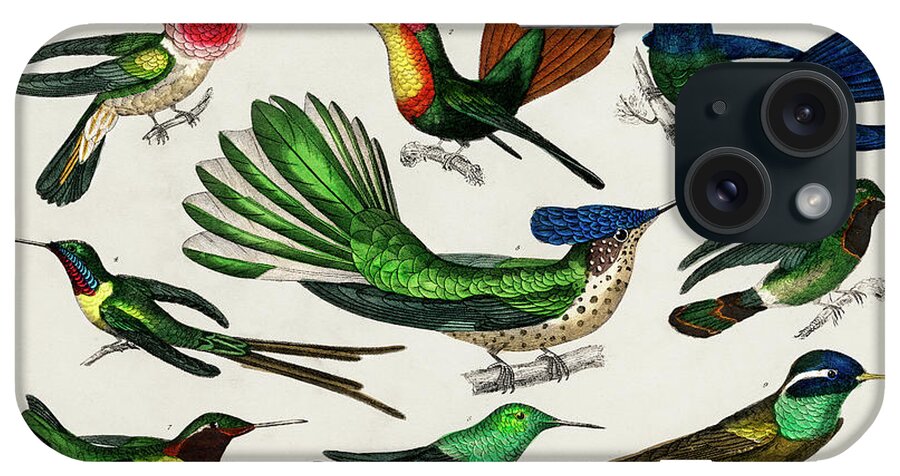 A History Of The Earth And Animated Nature iPhone Case featuring the painting Collection of various birds by Vincent Monozlay