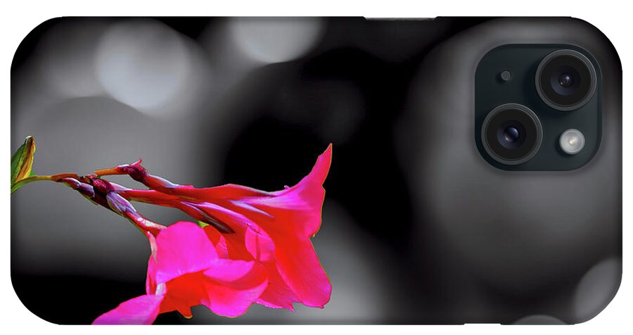 Flower iPhone Case featuring the photograph Color by Fuchsia by Joseph Hollingsworth