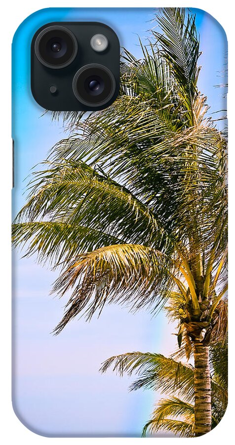 Palm Trees iPhone Case featuring the photograph Color Drenched Palm Trees by Colleen Kammerer