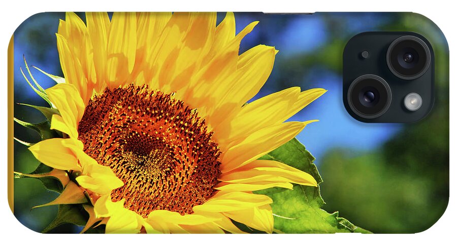 Sunflower iPhone Case featuring the photograph Color Me Happy Sunflower by Christina Rollo