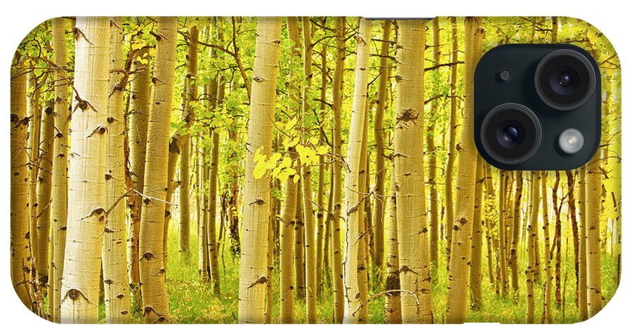 Autumn iPhone Case featuring the photograph Colorado Fall Foliage Aspen Landscape by James BO Insogna