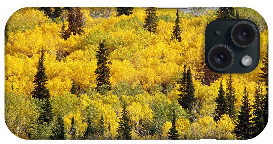 Colorado iPhone Case featuring the photograph Colorado In Autumn by James Steinberg