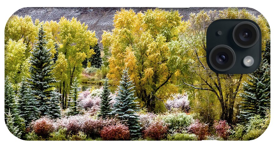 Aspen Trees iPhone Case featuring the photograph Colorado Snowy Fall Morning by Teri Virbickis