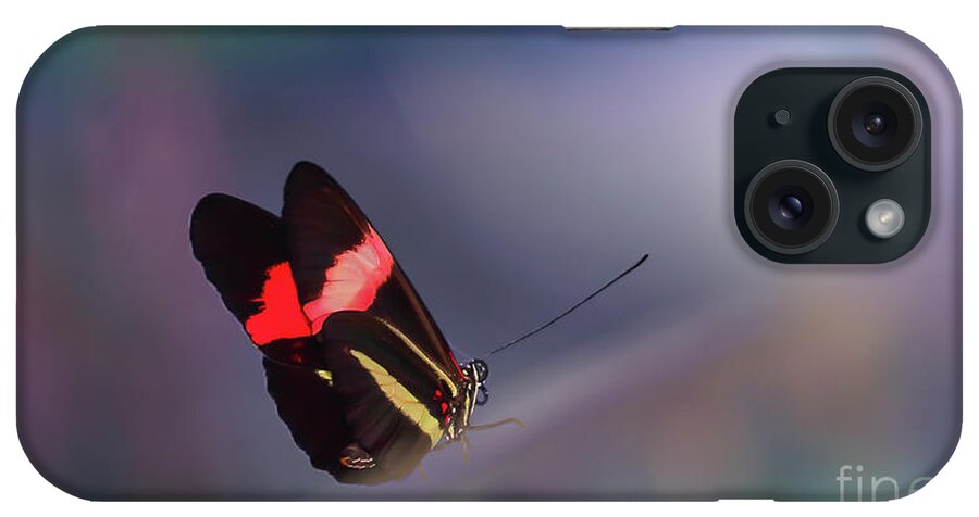 Butterfly iPhone Case featuring the photograph colorful Butterfly by Franziskus Pfleghart