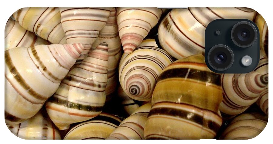 Shells iPhone Case featuring the photograph Colorful Cream and Tan Shells by Rosalie Scanlon