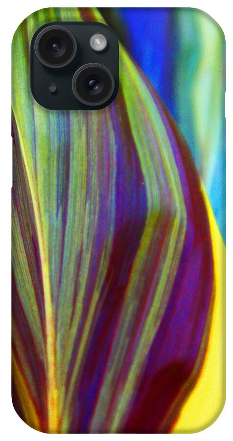 Ti iPhone Case featuring the photograph Colorful Ti Leaves by Kerri Ligatich