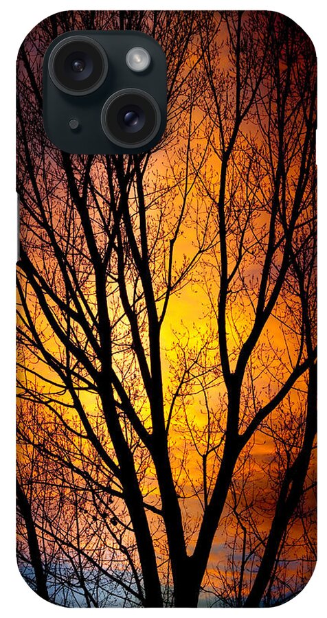 Vertical iPhone Case featuring the photograph Colorful Tree Silhouettes by James BO Insogna