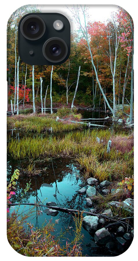 Landscape iPhone Case featuring the photograph Colors by The Stream by Joseph G Holland