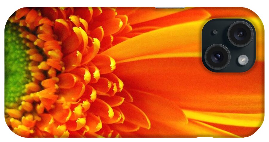 Red iPhone Case featuring the photograph Colors Galore by Rhonda Barrett