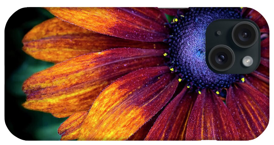 Flower iPhone Case featuring the photograph Colors Inside by Vanessa Thomas