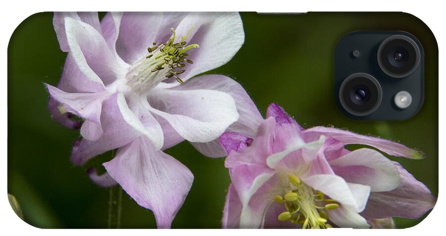 Nature iPhone Case featuring the photograph Columbination by Michael Friedman