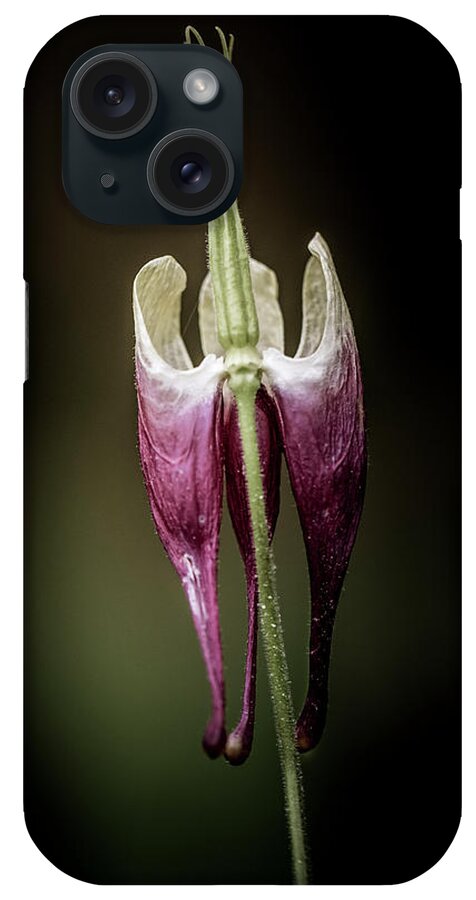 Flower iPhone Case featuring the photograph Columbine by Allin Sorenson