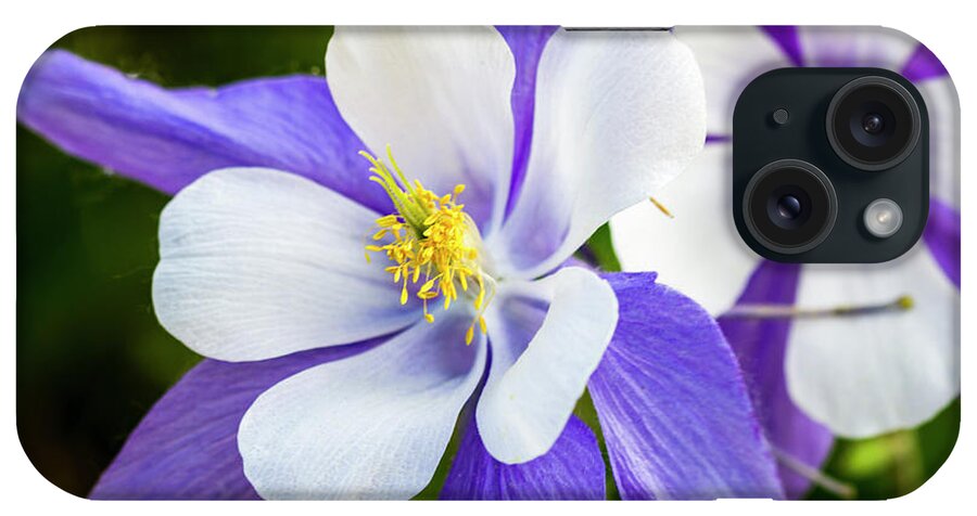 Colorado iPhone Case featuring the photograph Columbines Inside by Teri Virbickis