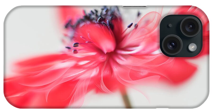 Flower iPhone Case featuring the photograph Comes with a bow. by Usha Peddamatham