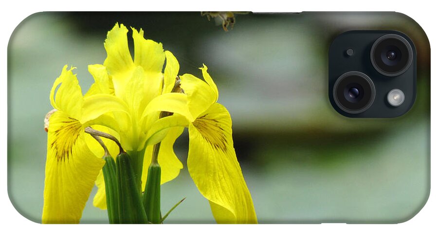 Bee iPhone Case featuring the photograph Coming in for a Landing 2 by George Jones