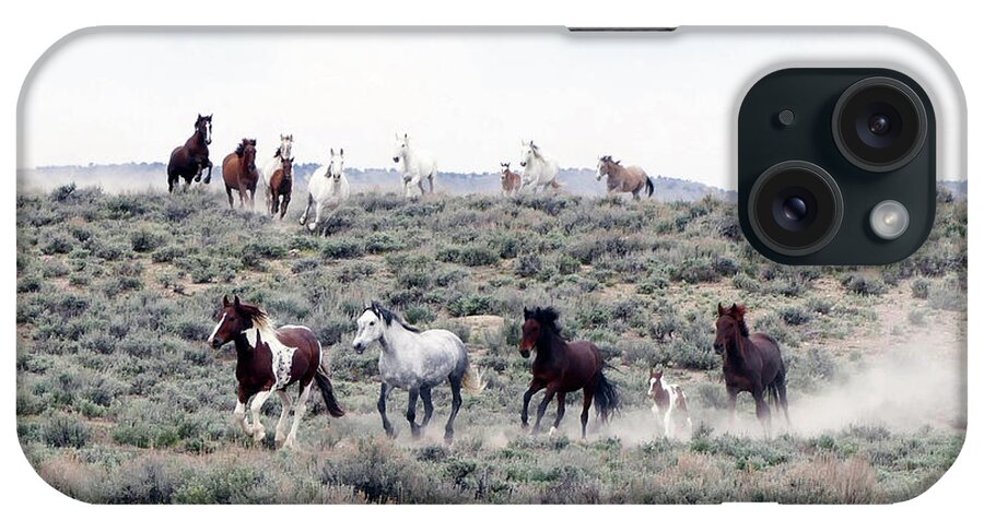 Sand Wash Basin iPhone Case featuring the photograph Coming into the Water Hole by WildHerdz