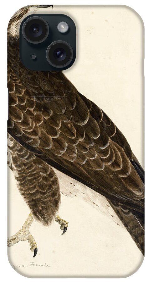 Prideaux John Selby iPhone Case featuring the drawing Common Buzzard, Female by Prideaux John Selby