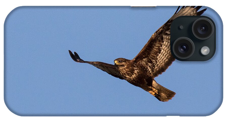 Accipitridae iPhone Case featuring the photograph Common Buzzard flying over Ognyanovo Dam Bulgaria by Jivko Nakev
