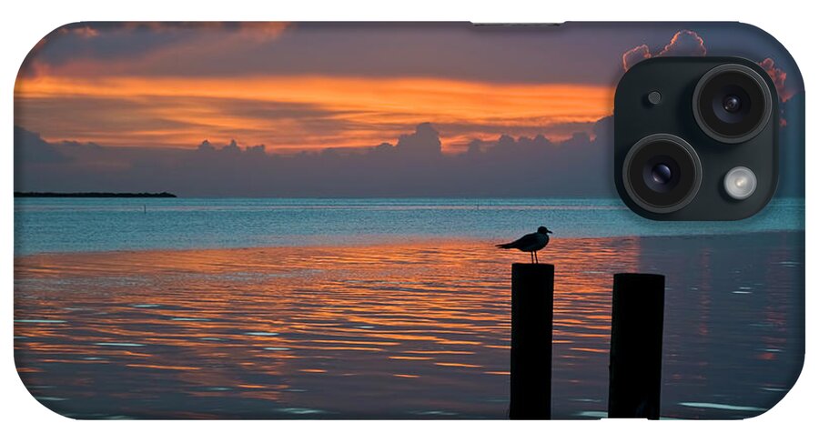Tropical iPhone Case featuring the photograph Conch Key Sunset Bird on Piling by Ginger Wakem