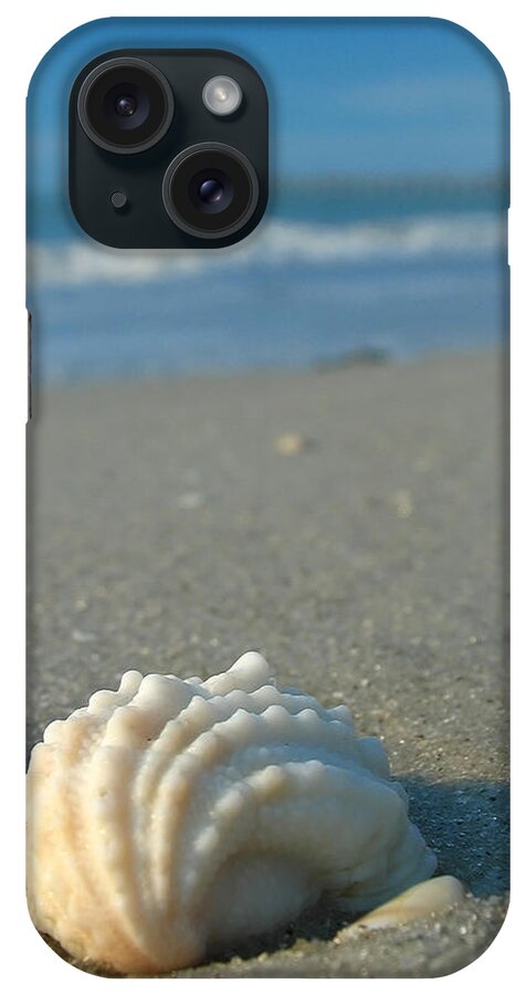 Beach iPhone Case featuring the photograph Conch Shell by Juergen Roth