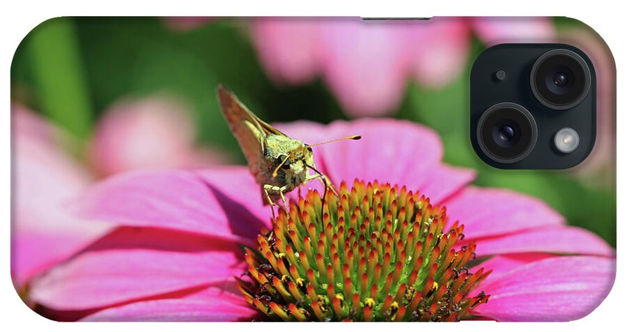 Insect iPhone Case featuring the photograph Coneflower Moth I by Mary Haber