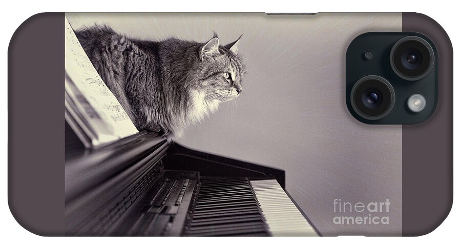 Animal iPhone Case featuring the photograph Contemplating Memory by Sharon McConnell