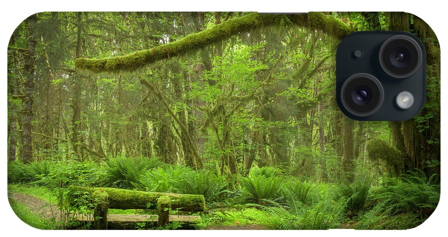 Path iPhone Case featuring the photograph Contemplative Rain Forest by Jon Ares