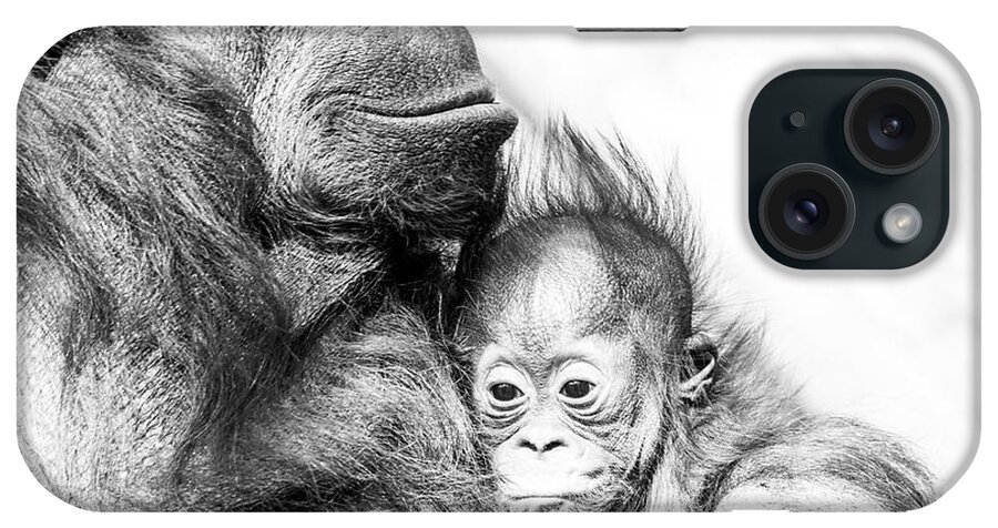 Crystal Yingling iPhone Case featuring the photograph Contentment by Ghostwinds Photography