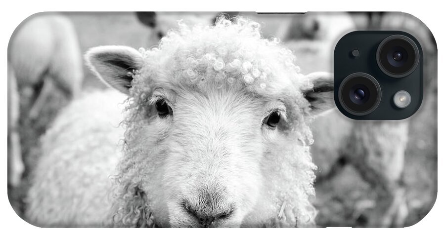 Ireland iPhone Case featuring the photograph Contentment by Mountain Dreams