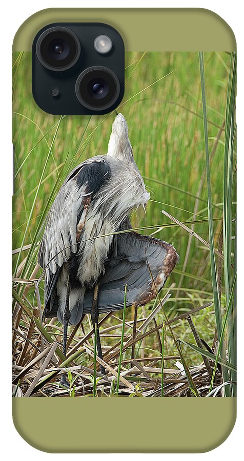 Great iPhone Case featuring the photograph Contortionist Great Blue Heron by Richard Goldman