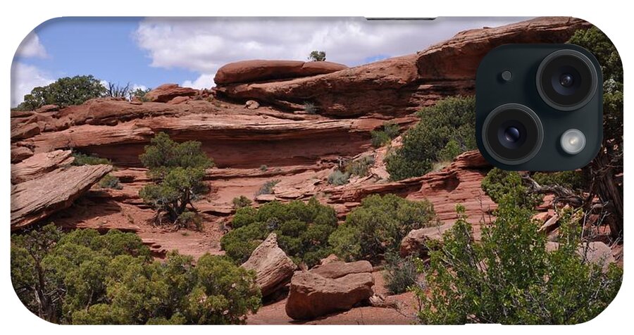 Canyonlands National Park iPhone Case featuring the photograph Contrasts in Nature by Frank Madia