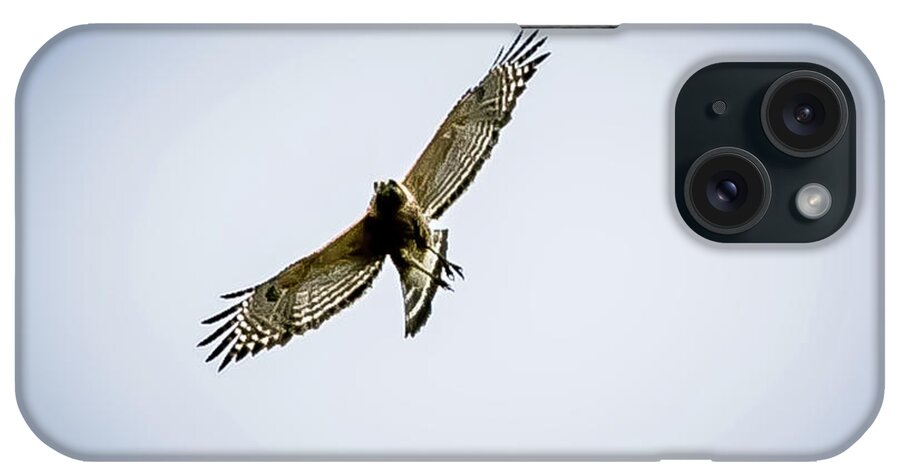 Hawk iPhone Case featuring the digital art Cooper's Hawk by Ed Stines