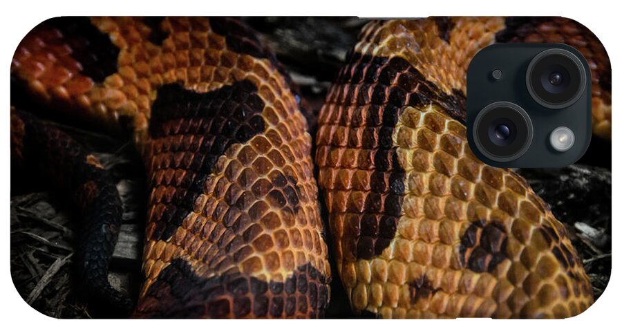 Copperhead iPhone Case featuring the photograph Copperhead by Jonas Luis