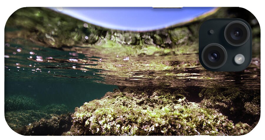 Underwater iPhone Case featuring the photograph Coral Beauty by Gemma Silvestre