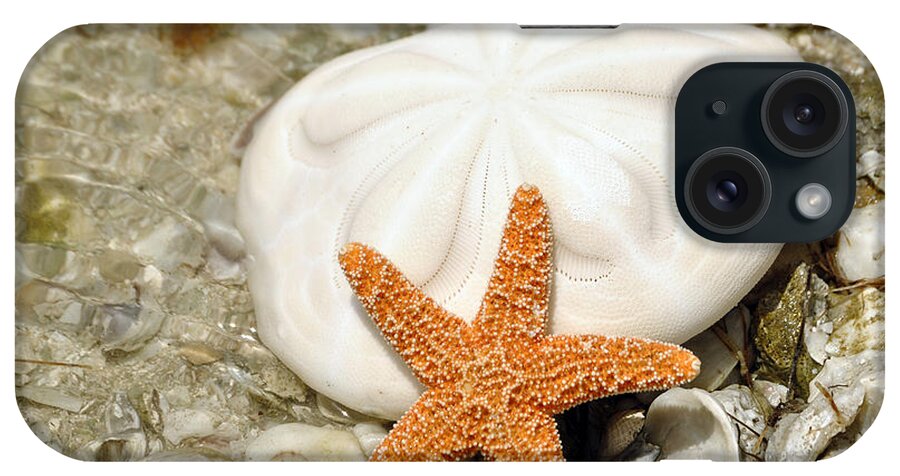 Sea Shells iPhone Case featuring the photograph Core of the Reef by Maria Nesbit