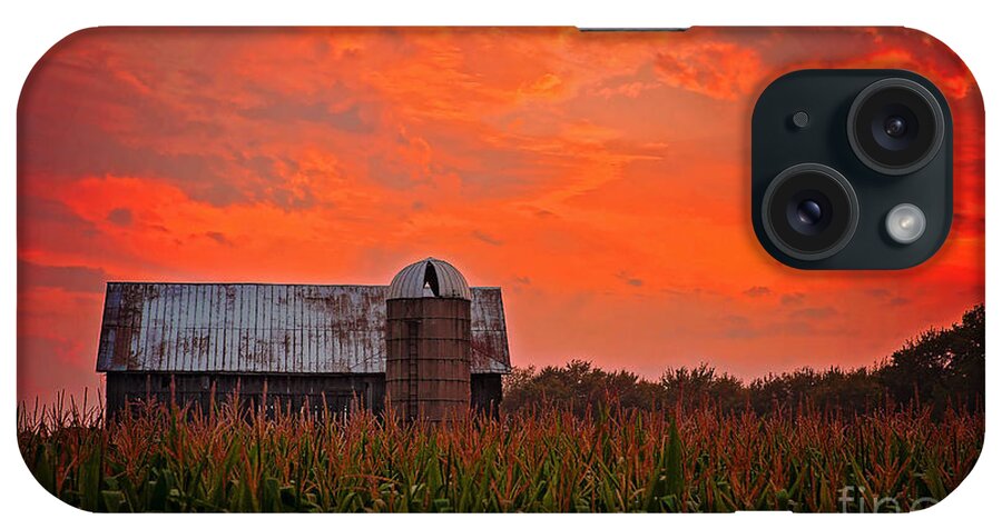 Ludington Michigan iPhone Case featuring the photograph Corn by Randall Cogle
