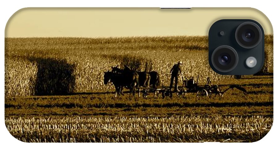 Amish iPhone Case featuring the photograph Cornfield Shadows by Tana Reiff