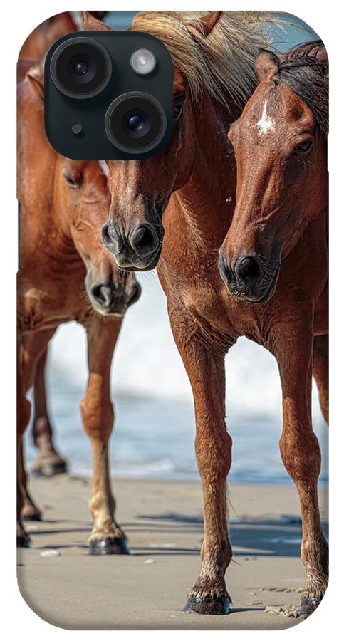 Wild Horse iPhone Case featuring the photograph Corolla Horses VII by Glenn Woodell