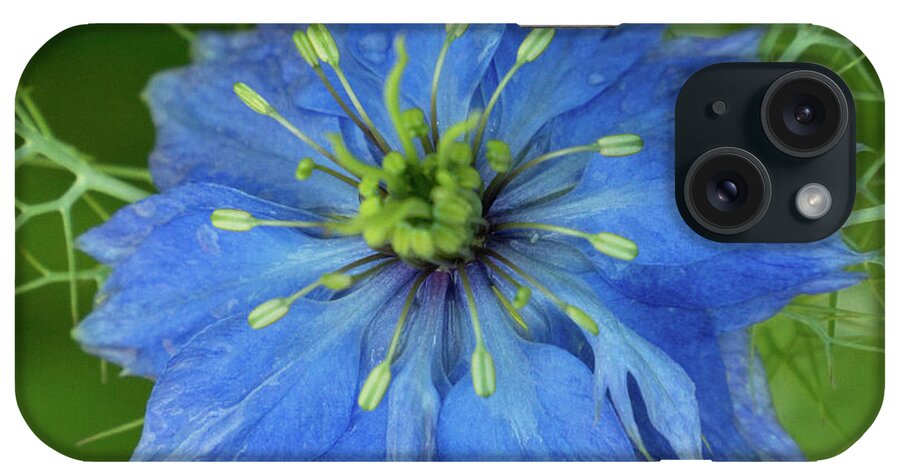 Cosmo iPhone Case featuring the photograph Cosmo Crazy Blue V2 by Janet DeLapp