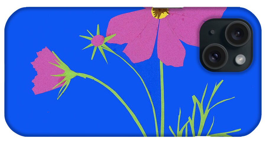 Botanical Art iPhone Case featuring the mixed media Cosmos by Fran Henig