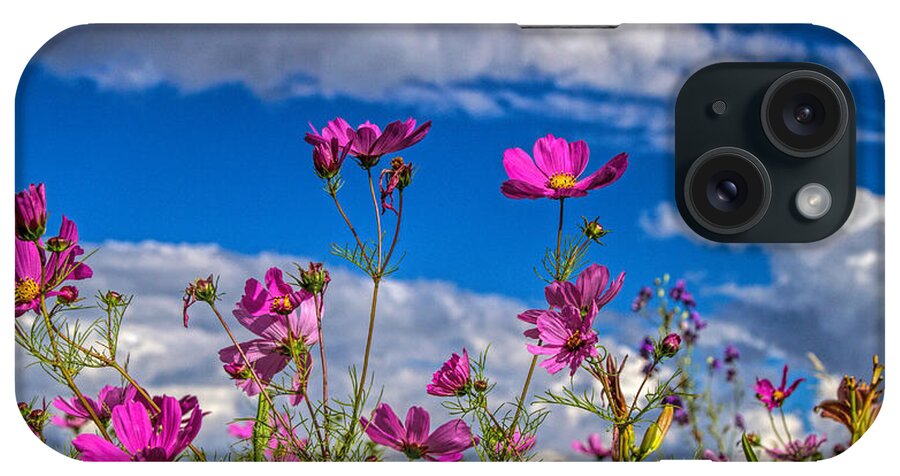 Botanical iPhone Case featuring the photograph Cosmos Sky by Alana Thrower